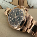 Rolex Daytona Chocolate 116505 13