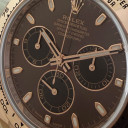 Rolex Daytona Chocolate 116505 4