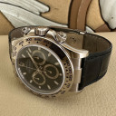 Rolex Daytona 116519 14