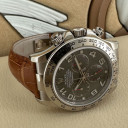 Rolex Daytona Racing Dial 116519 13