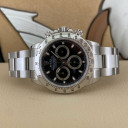 Rolex Daytona APH Anello RRR 116520 8