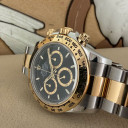 Rolex Daytona 126503 14