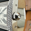 Cartier Divan Diamonds 2613 3