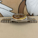 Rolex GMT-Master II Tiger Eye 16713 11
