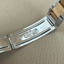 Rolex GMT-Master II Tiger Eye 16713 10