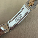 Rolex GMT-Master II Tiger Eye 16713 10