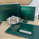 Rolex Oyster Perpetual 41 Silver 124300 1