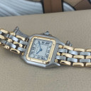 Cartier Panthere Lady 3 Gold Row 12