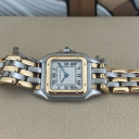 Cartier Panthere Lady 3 Gold Row 13