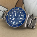 Tudor Pelagos 25600TB 14