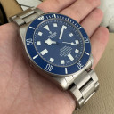 Tudor Pelagos 25600TB 10