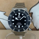 Tudor Pelagos 25600TN 0