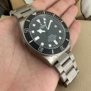 Tudor Pelagos 25600TN 10