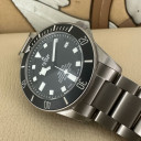 Tudor Pelagos 25600TN 14
