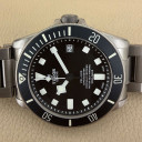 Tudor Pelagos 25600TN 15