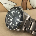Tudor Pelagos 25600TN 14