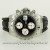 Tudor Prince Date 79280 1