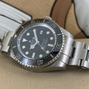 Rolex Sea-Dweller 116660 14