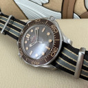 Omega Seamaster 300 007 Edition 21092422001001 15