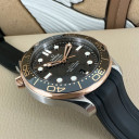 Omega Seamaster COAXIAL MASTER CHRONOMETER  21022422001002 13