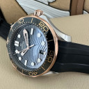 Omega Seamaster COAXIAL MASTER CHRONOMETER  21022422001002 14