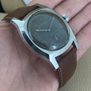 Eterna Tartarugone 8